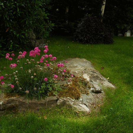 Kenmare House Otel Dış mekan fotoğraf