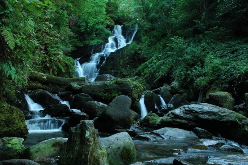 Kenmare House Otel Dış mekan fotoğraf