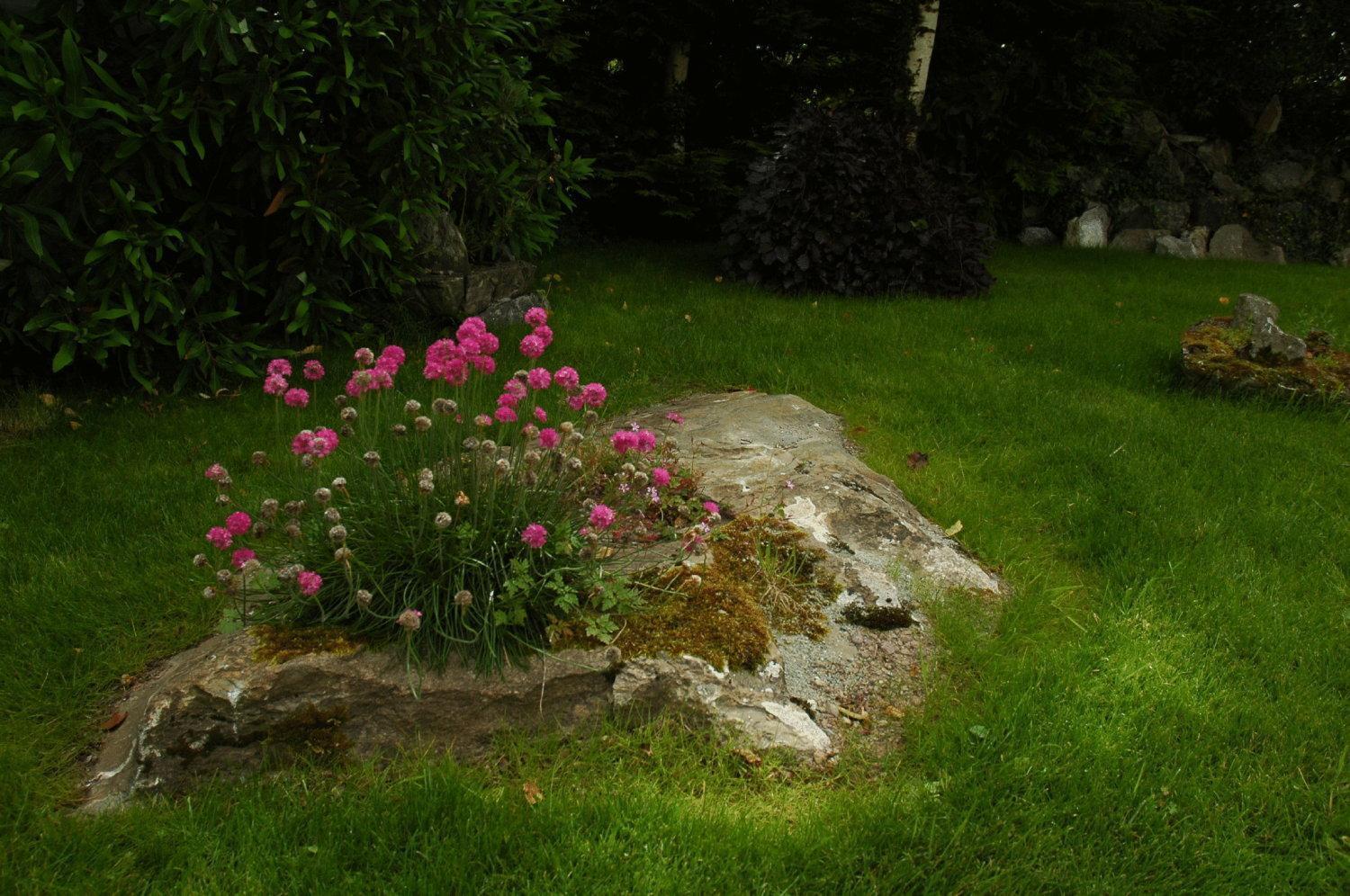 Kenmare House Otel Dış mekan fotoğraf